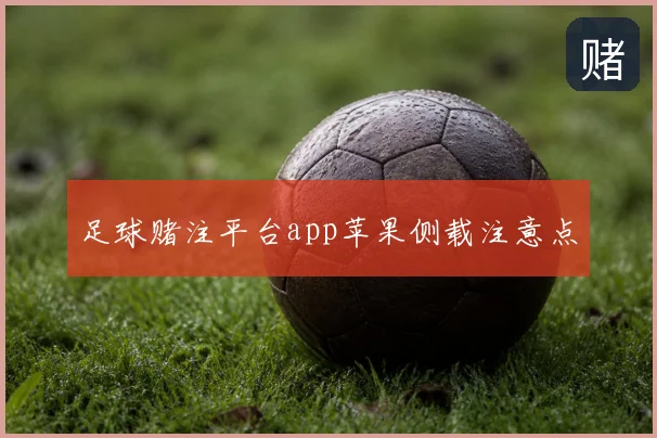 足球赌注平台app苹果侧载注意点