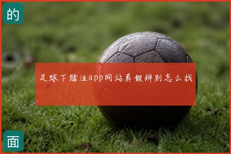 足球下赌注app网站真假辨别怎么找